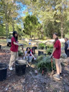 AYLUS members work on a digging up a patch of monkey grass