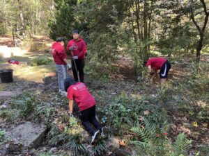 AYLUS members dig out a patch of monkey grass