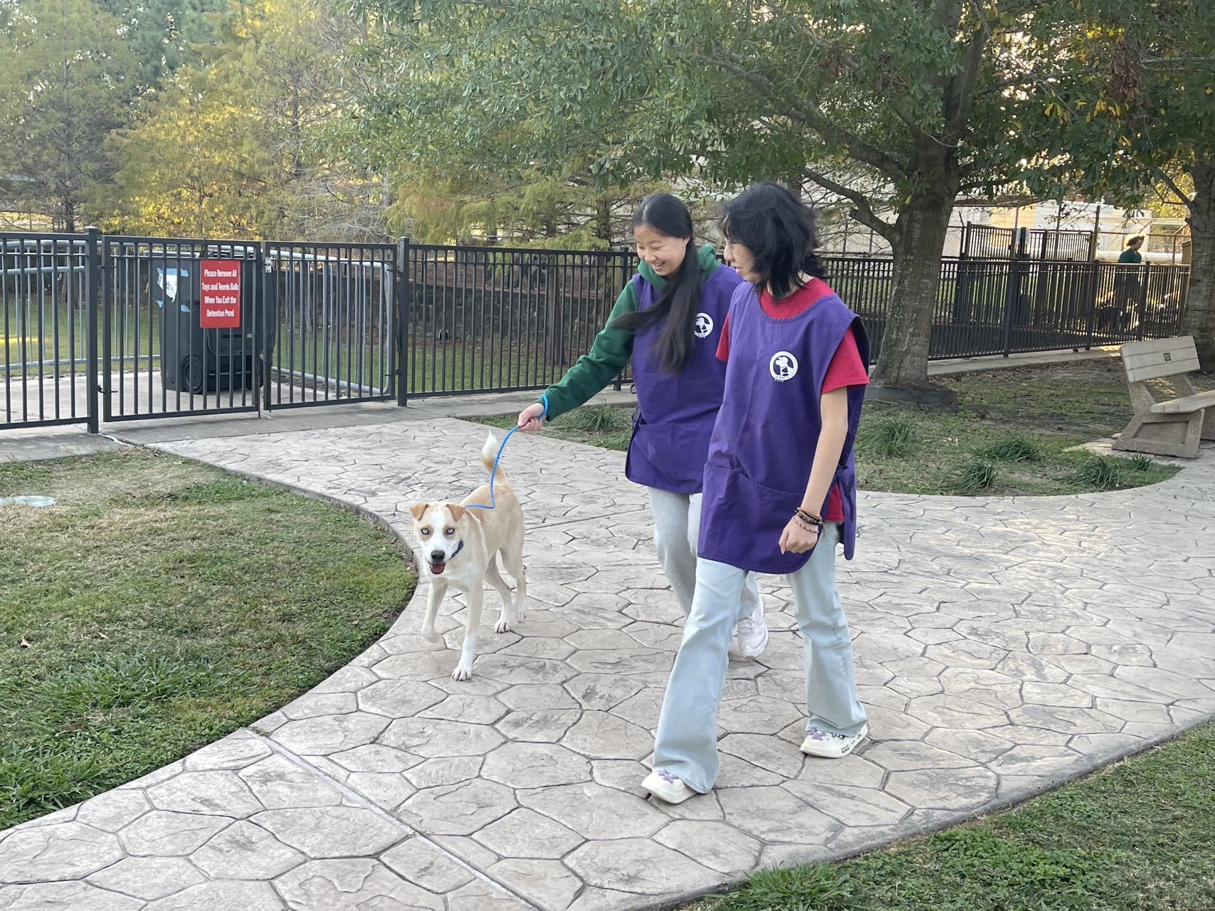 Houston Branch Volunteers at Citizens for Animal Protection on November